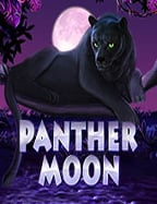 gclub เครดิตฟรี: วิธีเล่นให้ได้กำไร